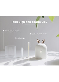 product-img-2