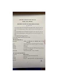 product-img-7