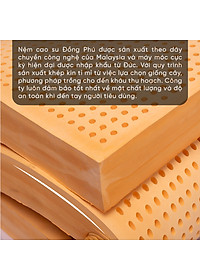 Nệm Cao Su Một Mặt Lỗ Đồng Phú DPCS1615 (160 x 200 x 15 cm)