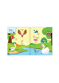 product-img-6