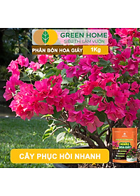 product-img-9
