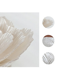 product-img-13