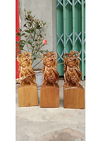 product-img-1