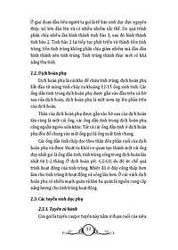 product-img-8