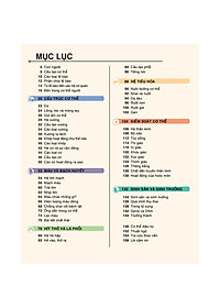 Sách Tri Thức Trong Lòng Bàn Tay - Bách Khoa Thiếu Nhi Cơ Thể Con Người