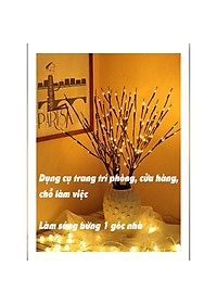 product-img-2