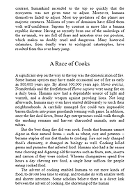 product-img-13