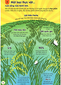 Sách 100 Bí Ẩn Đáng Kinh Ngạc Về Thức Ăn (USBORNE - 100 Things To Know About Food)