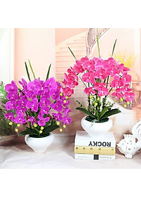 Cành lan hồ điệp giả cao cấp - 1 cành - 9 bông - dài 100cm - Cây giả, hoa lụa Decor trang trí nhà cửa
