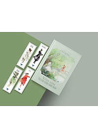 product-img-3
