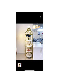 product-img-5