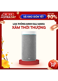 Loa thông minh OLLI MAIKA - Xám Thời Thượng - Hàng Chính Hãng