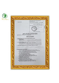 Bộ chăm sóc mẹ là siêu nhân, khử mùi, phục hồi năng lượng cho mẹ sau sinh Wonmom (1 lá xông + 1 hộp thảo mộc vệ sinh vùng kín cho mẹ)
