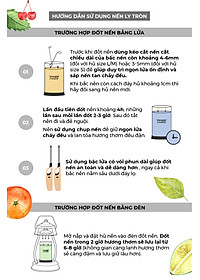 Nến ly tròn sáp đậu nành Yankee Candle size L (567g) - Fresh Cut Roses