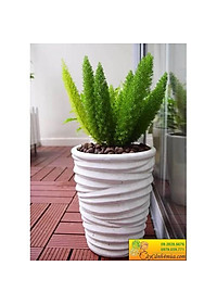product-img-8