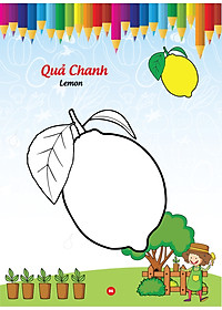 product-img-7