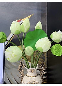 product-img-9