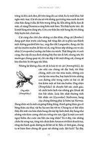 product-img-10