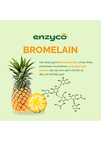 Nước rửa chén bát sinh học ENZYCO 850ml - Chiết xuất Bồ hòn và Enzyme Dứa