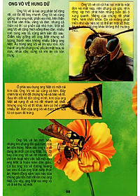 Sách Thế Giới Động Vật Kì Thú - Vườn Côn Trùng