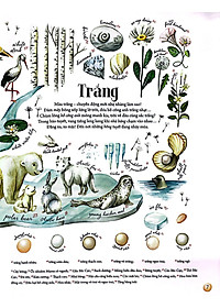 Sách Những Gam Màu Rực Rỡ Của Thiên Nhiên