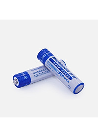 Bộ 4 Viên Pin Tiểu Sạc Cao Cấp AAA 900mAh Doublepow - Hàng nhập khẩu