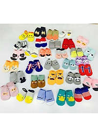 product-img-2