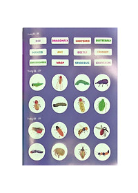 Sách Bộ Song Ngữ 5 Cuốn Ứ Ừ Con Ghét (Việt-Anh) - Tập 5: Hóa Ra Côn Trùng Không Đáng Ghét, Mẹ Nhỉ?