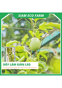 Dây làm giàn leo 3mm Siam Ecofam - chuyên làm giàn chanh leo, giàn bầu bí siêu bền