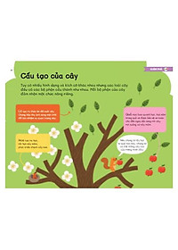 Trái Đất Xinh Đẹp Có Gì - Một Thế Giới Đầy Cây