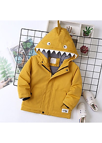 product-img-1