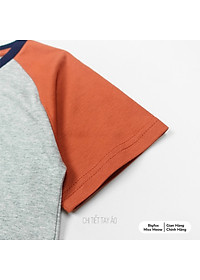 product-img-8