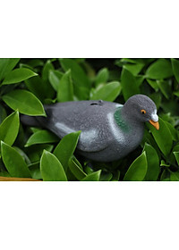 product-img-2