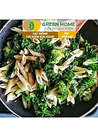 Hạt Giống Cải Xoăn Kale Greenhome, Gói 5g, Dễ Trồng Quanh Năm, Nảy Mầm Cao, Thu Hoạch Nhanh, Năng Suất Cao R16