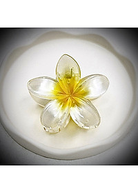 Kẹp tóc hoa sứ tráng gương chất lượng cao