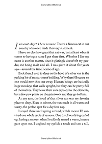 Sách The Travelling Cat Chronicles