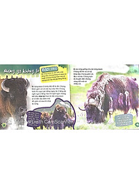 Sách Độc Lạ Phi Thường - Loài Ăn Chay