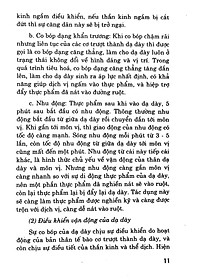 product-img-19