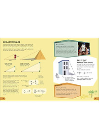 Sách What's the Point of Maths? (Hardback)