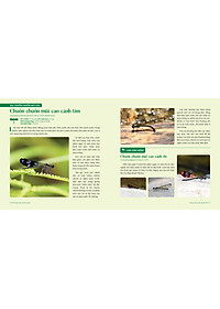 product-img-11