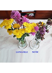 Dung Dịch Xử Lý Hoa TOG Galileo của ISRAEL (Chai 1 Lít) dùng bảo quản hoa cắt cành tươi lâu tại Nhà Vườn Trồng Hoa, Vựa Hoa và Chợ Sỉ Hoa. Tỷ lệ dung dịch 0.1% tức chai 1 Lít TOG pha được 1.000 Lít dung dịch xử lý hoa