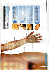 product-img-4