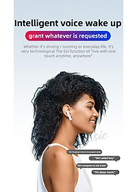 product-img-16