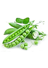 Hạt giống đậu Hà Lan gói 20g VTS024