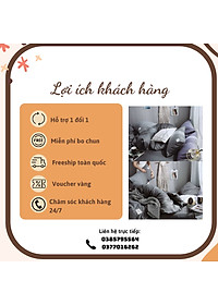 product-img-4