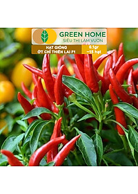 Hạt Giống Ớt Chỉ Thiên Greenhome, Gói 1gr, Sai Trái, Siêu Cay, Dễ Trồng Quanh Năm, Nảy Mầm Cao, Thu Hoạch Nhanh G10