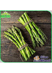 Hạt giống Măng Tây Xanh Chịu Nhiệt Tốt, Dễ Trồng, Kháng Sâu Bệnh - Hạt giống Rạng Đông