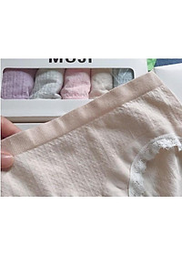 hộp 5 quần lót nữ cotton cao cấp quanchip nữ xuất nhật kháng khuẩn NU01