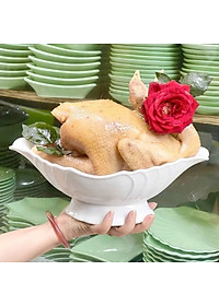 product-img-5