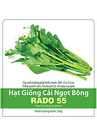 product-img-4